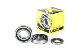 CRANK BEARING SEAL KIT