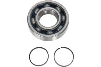 BEARINGS CRANK K081