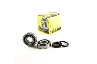 CRANK BEARING SEAL KIT