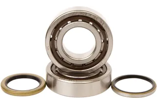BEARINGS CRANK K069