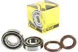 CRANK BEARING SEAL KIT