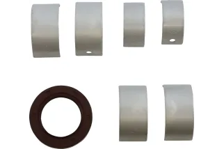 MAIN BRG SEAL KIT CAN AM