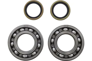 BEARING CRANK MSE BETA