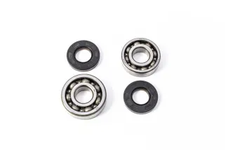 CRANK BEARING SEAL KIT