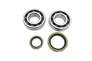 CRANK BEARING SEAL KIT