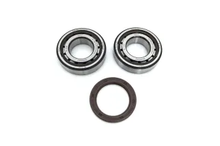 CRANK BEARING SEAL KIT