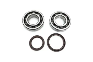 CRANK BEARING SEAL KIT