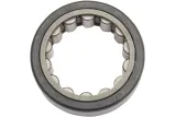 BEARING 24605-07