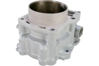 CYLINDER STD RPTR 700