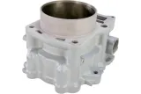 CYLINDER STD RPTR 700