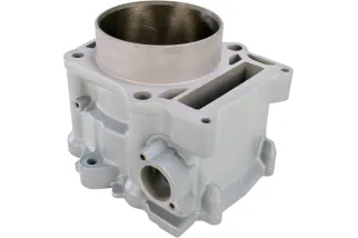 CYLINDER STD RPTR 700