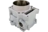 CYLINDER STD RPTR 700