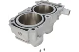 CYLINDER STD RZR 900