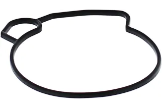 GASKET FLOAT BOWL MSE