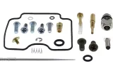 CARB REBUILD KIT DS650