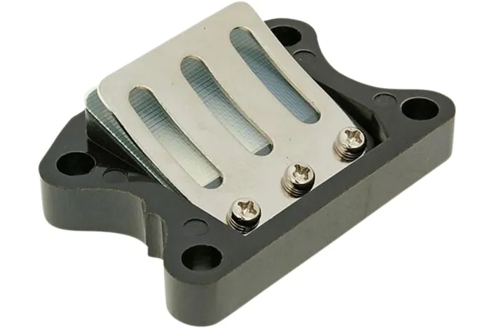 REED VALVE ASSY RACING