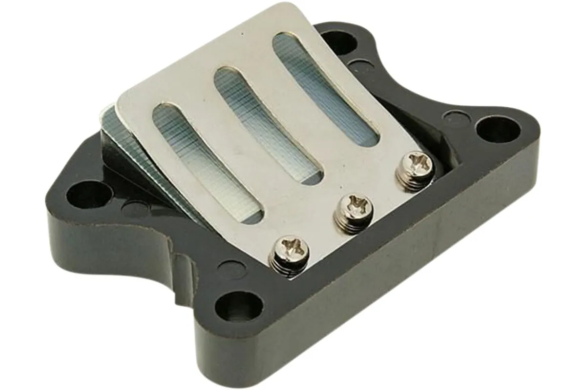 REED VALVE ASSY RACING