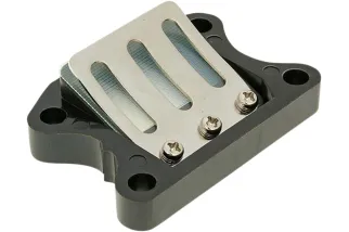 REED VALVE ASSY RACING