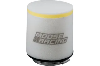 FILTER AIR TRX450R 04-05