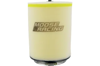 FILTERAIR TRX450R 06