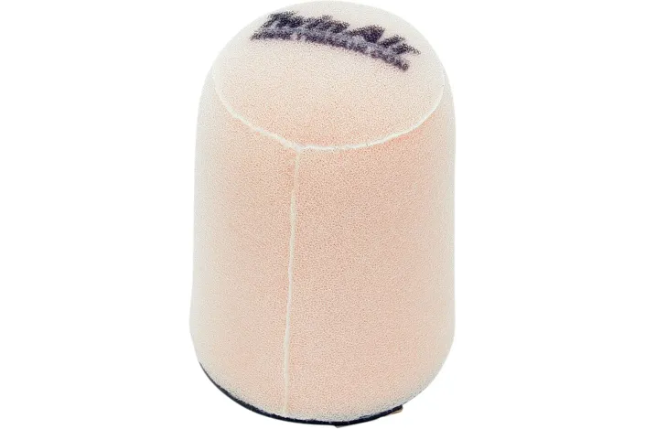 AIR FILTER TWIN AIR CA-AM