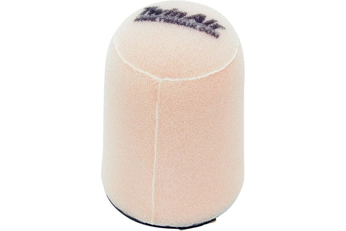 AIR FILTER TWIN AIR CA-AM