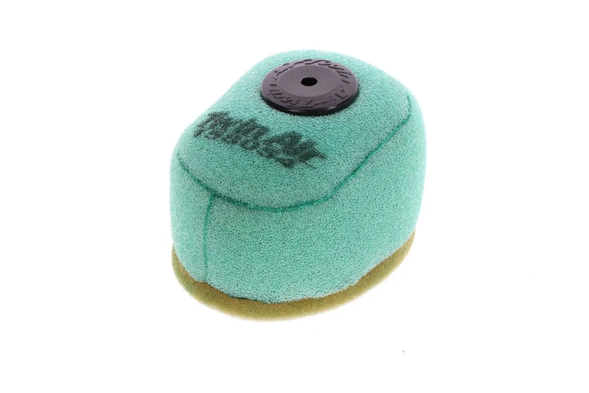 AIR FLTR GAS TRAIL 02