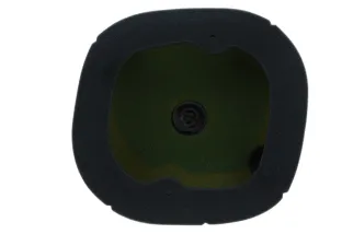 AIR FILTER PO TRIUMPH TF '24