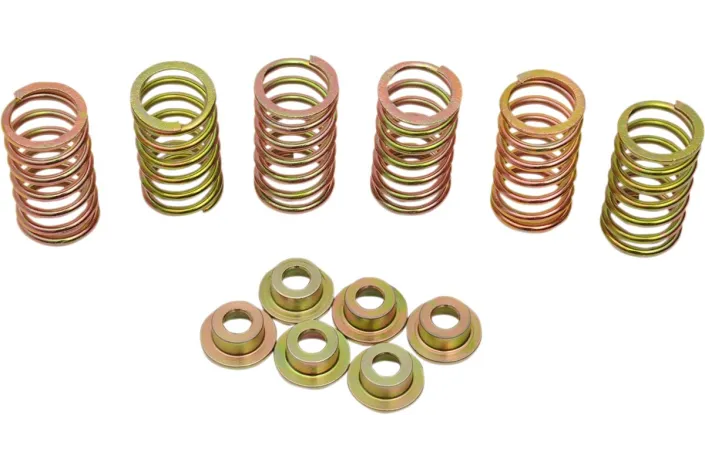 CLUTCH SPRING KIT