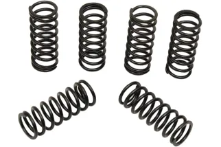 BARNETT CLTCH SPRINGS HON