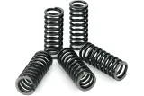 CLUTCH SPRINGS KXF/RMZ250