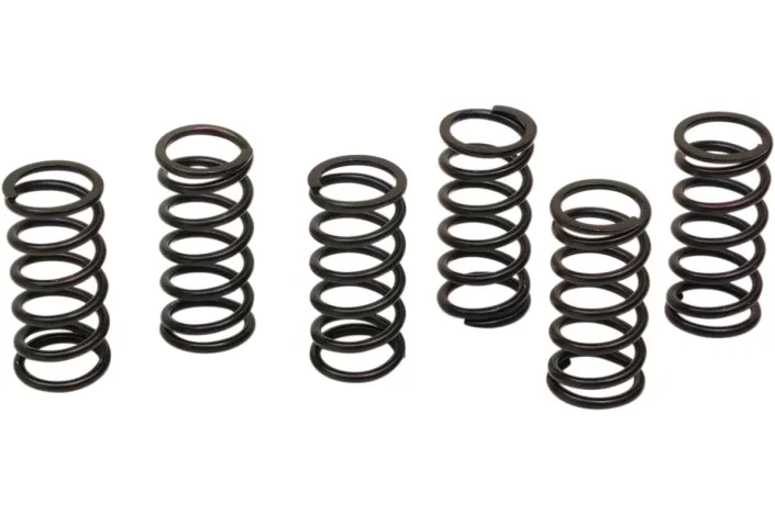 CLUTCH SPRING KIT KAW