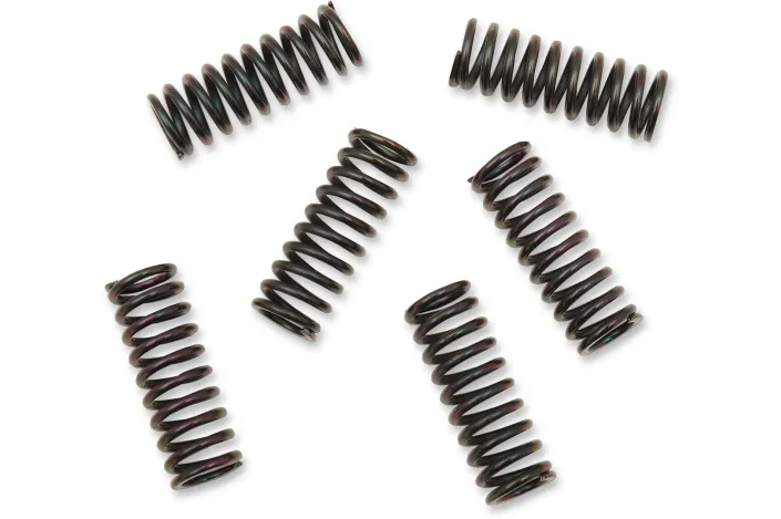 CLUTCH SPRING KIT YAM
