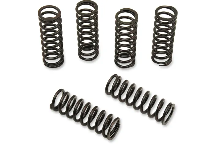 CLUTCH SPRING KIT HON