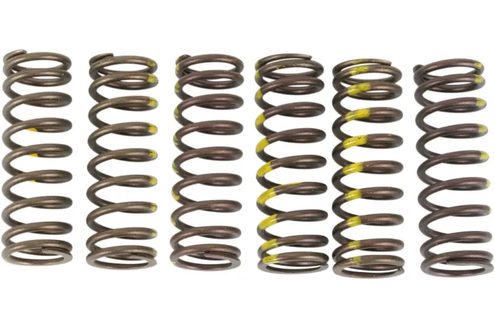 SPRINGS CLUTCH RMZ450