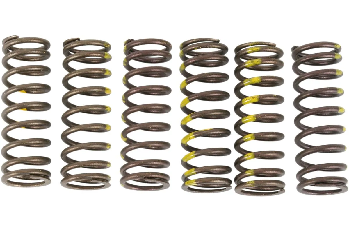 SPRINGS CLUTCH RMZ450