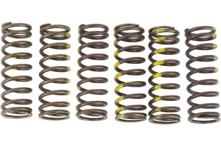 SPRINGS CLUTCH RMZ450