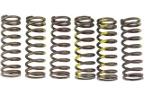 SPRINGS CLUTCH RMZ450