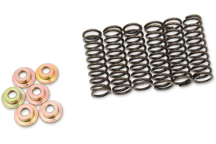 CLUTCH SPRING SET YAM