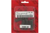 CLUTCH SPRING SET CSK
