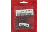 CLUTCH SPRING SET CSK