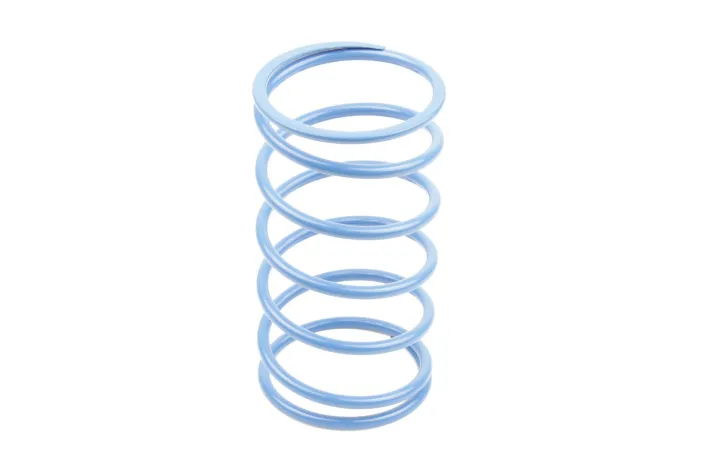 VARIATOR SPRINGS
