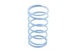 VARIATOR SPRINGS