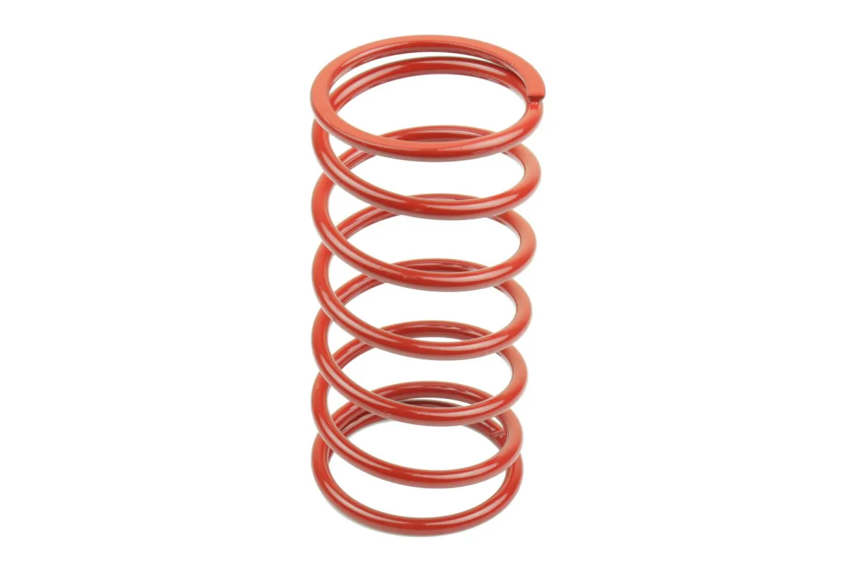 VARIATOR SPRINGS