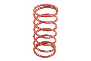 VARIATOR SPRINGS