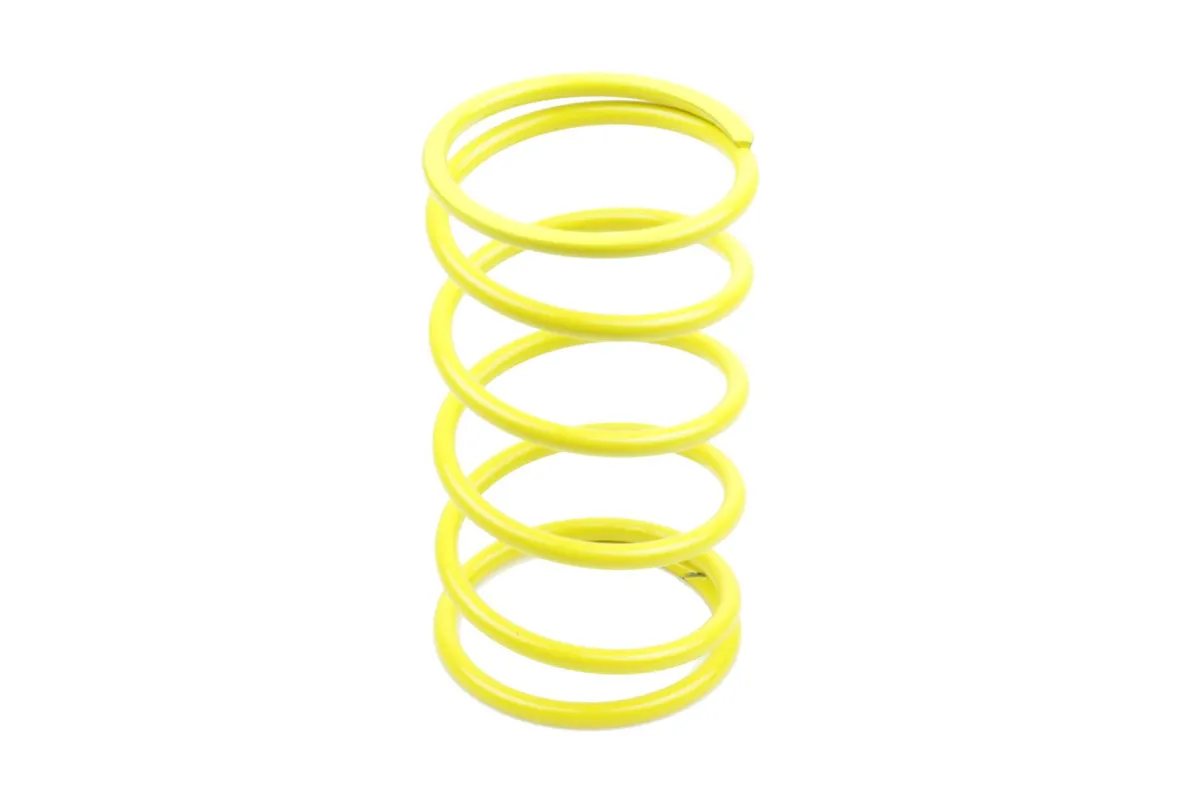 VARIATOR SPRINGS