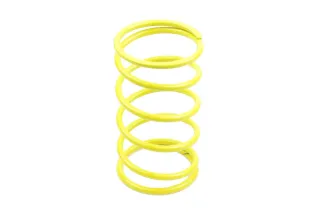 VARIATOR SPRINGS