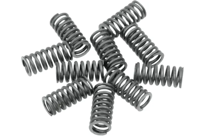 SPRINGS CLUTCH 38077-41
