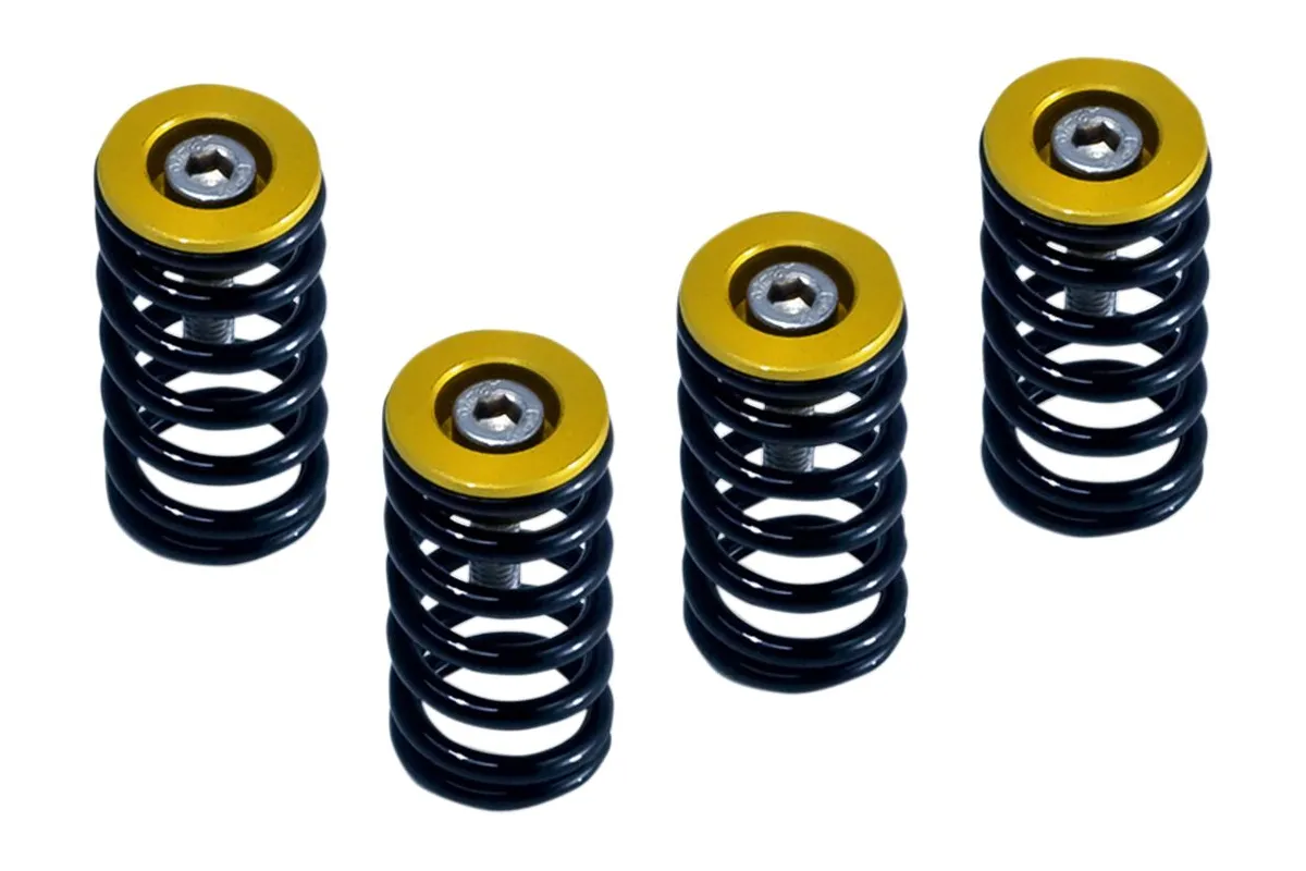 CLUTCH SPRG W/GOLD DUCATI