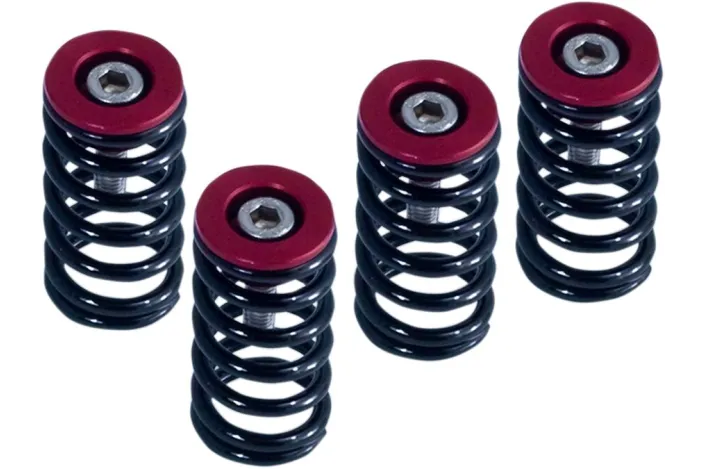 CLUTCH SPRG W/RED DUCATI
